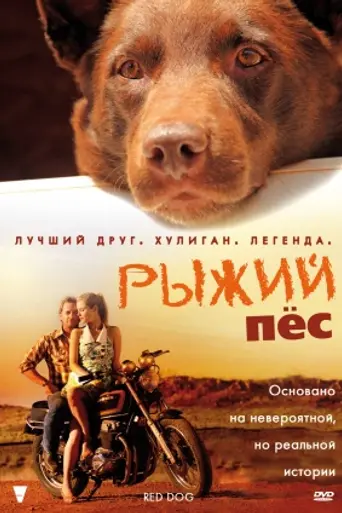 Red Dog (2011)