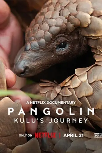 Kulu's Journey