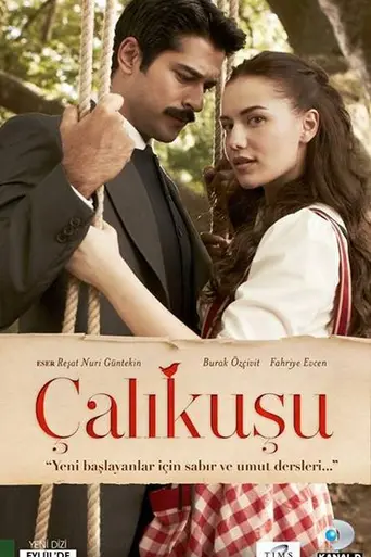 Королёк — птичка певчая (2013)