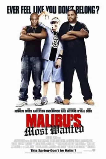 Разыскиваются в Малибу (2003)