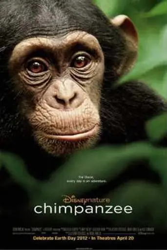 Chimpancés (2012)