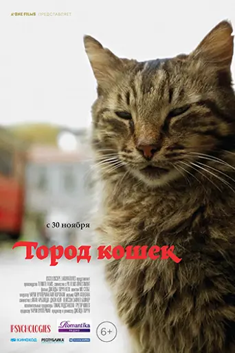 Город кошек (2016)