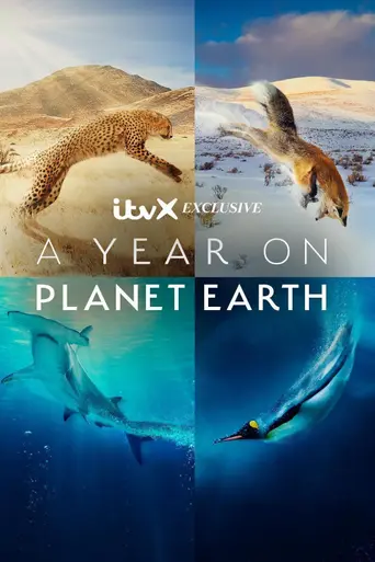 A Year on Planet Earth (2022)