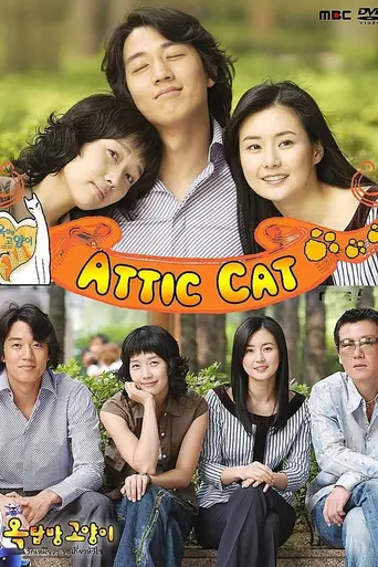 Rooftop Room Cat (2003)