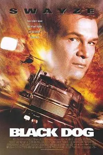 Чёрный пёс (1998)