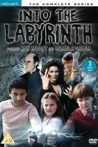 Into the Labyrinth (1981)