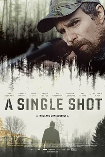 Единственный выстрел (2013)