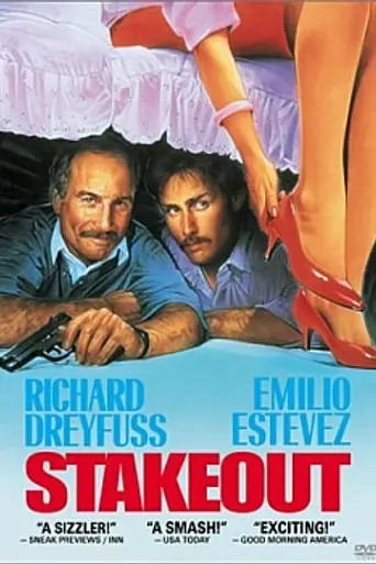 Слежка (1987)
