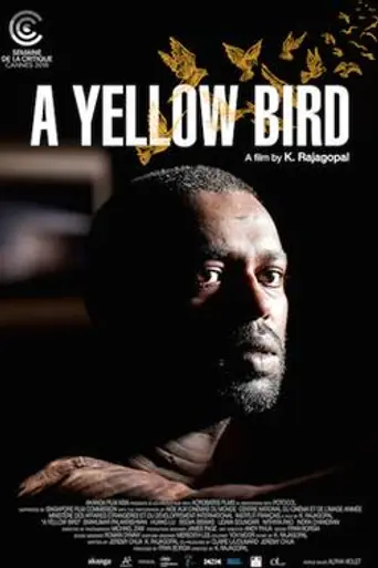 A Yellow Bird (2016)