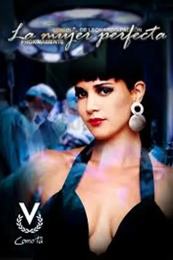 La mujer perfecta (2010)