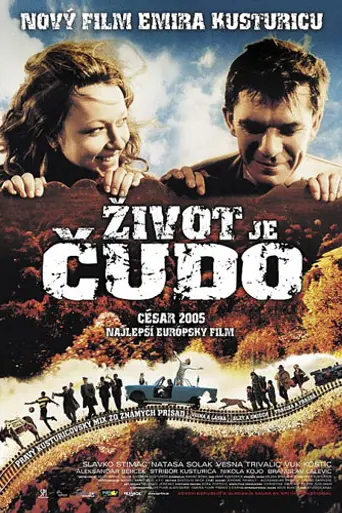 Жизнь как чудо (2004)