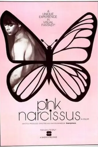 Pink Narcissus (1971)