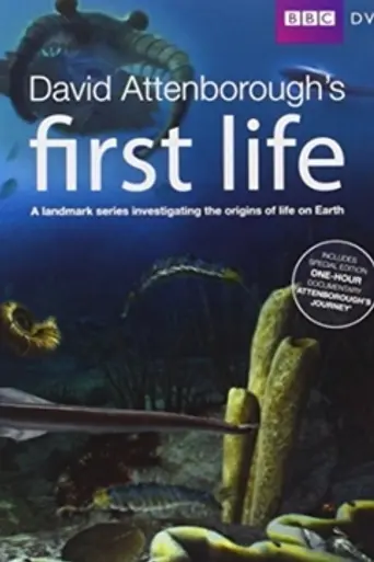 First Life (2010)