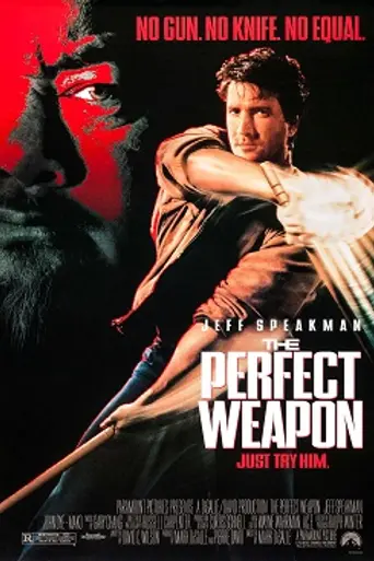 Совершенное оружие (1991)