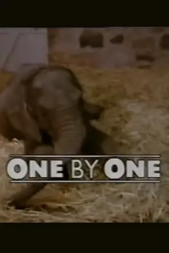 One by One (1984)