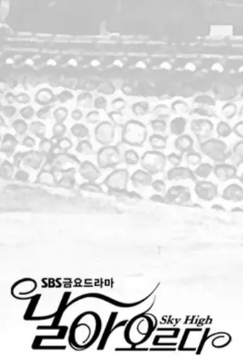 날아오르다 (2007)