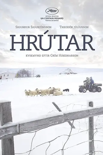 Rams (El valle de los carneros) (2015)