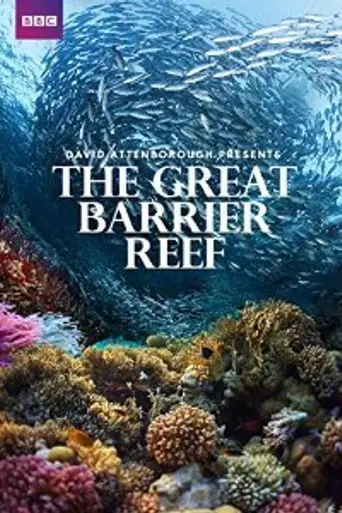 Большой Барьерный риф (2015)