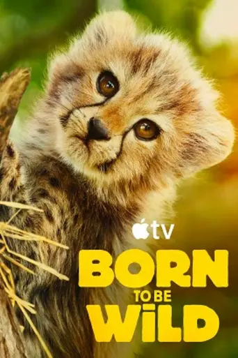 Born to Be Wild — 1 сезон