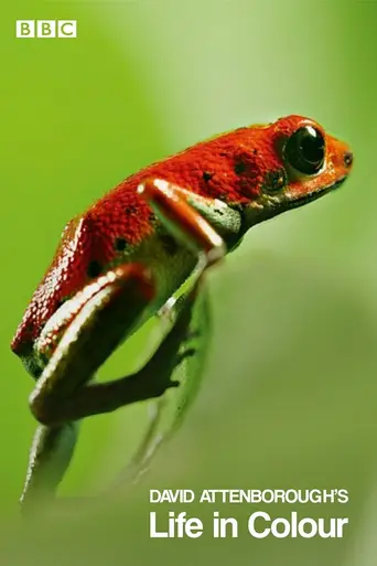 Life in Colour with David Attenborough (2021)