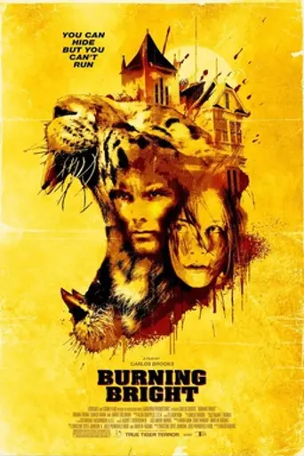 Во власти тигра (2010)