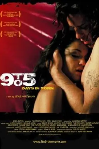 9to5 – Days in Porn (2008)