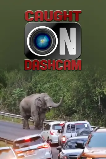 Caught on Dashcam (2015)