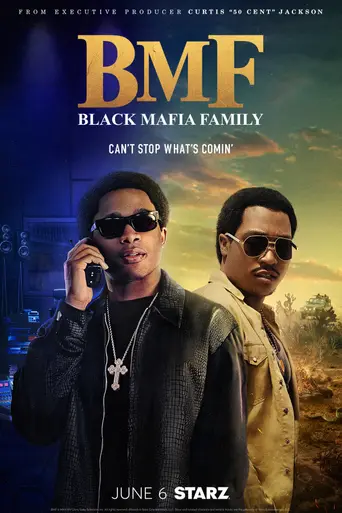 Семья чёрной мафии (телесериал) (2021)