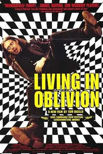 Living in Oblivion (1995)