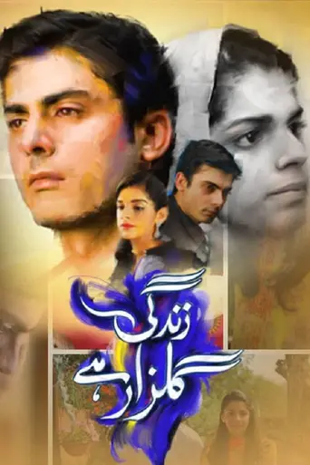Zindagi Gulzar Hai (2012)
