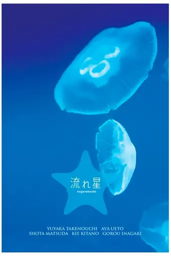 Nagareboshi (2010)