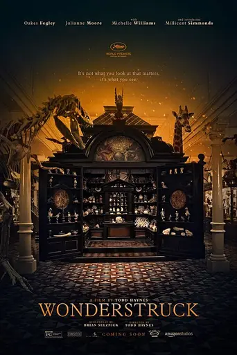 Мир, полный чудес (2017)