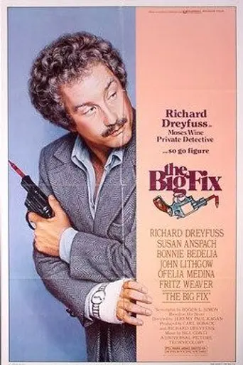 The Big Fix (1978)