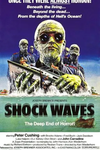 Shock Waves (1977)