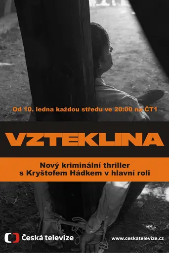 Vzteklina (2018)