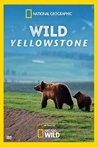 Wild Yellowstone (2015)