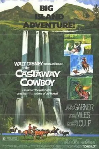 The Castaway Cowboy (1974)