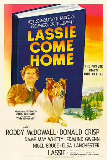 La cadena invisible (película de 1943) (1943)