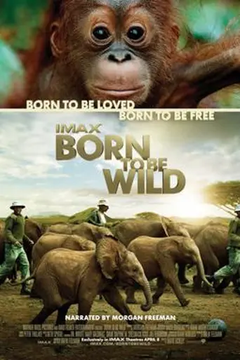 Born to Be Wild (2011)