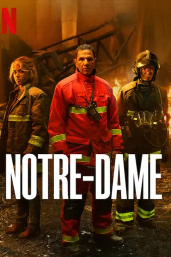 Notre-Dame, the part of the fire (2022)