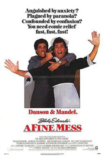 A Fine Mess (1986)