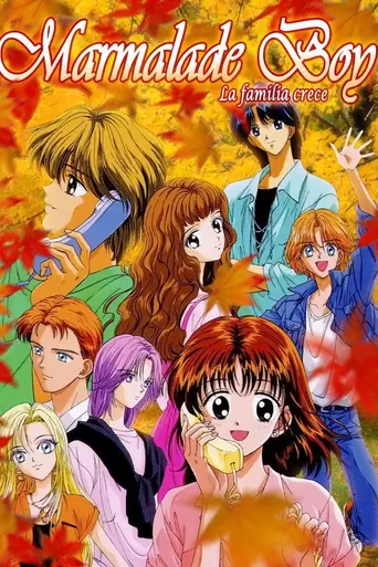 Marmalade Boy (1994)