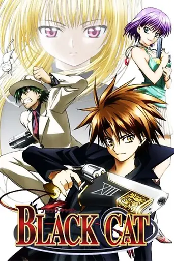 Чёрный кот (2005)
