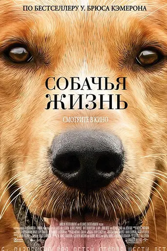 A Dog's Purpose (2017)