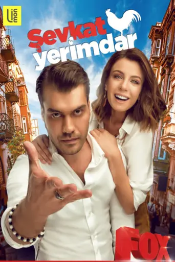 Şevkat Yerimdar (2017)