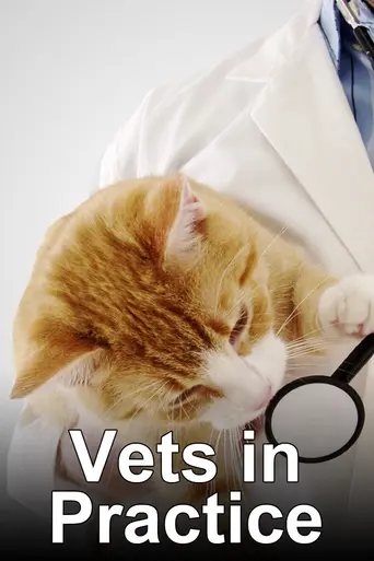 Vets in Practice — 7 сезон