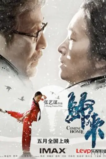 Возвращение домой (2014)