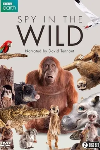 Spy in the Wild (2017)