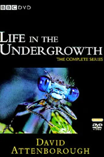 BBC: Жизнь в микромире (2005)