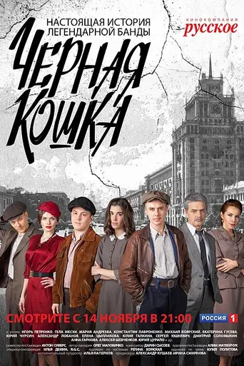 Чёрная кошка (2016)